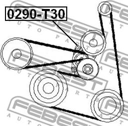 Febest 0290-T30 - Ремъчен обтегач, пистов ремък vvparts.bg