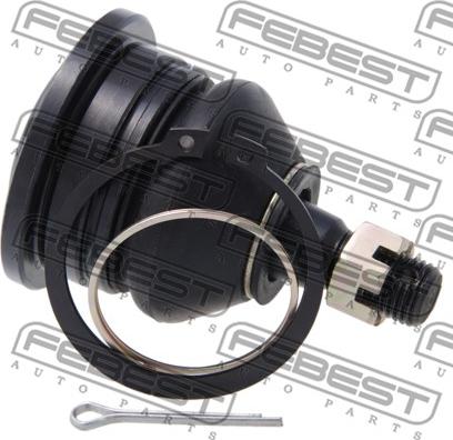 Febest 0220-WD22UF - Шарнири vvparts.bg