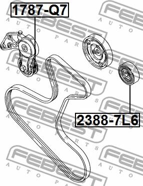 Febest 2388-7L6 - Паразитна / водеща ролка, пистов ремък vvparts.bg