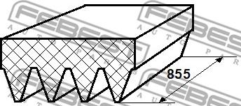 Febest 88126-4L855 - Пистов ремък vvparts.bg