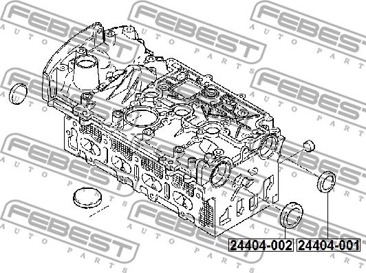 Febest 24404-002 - Пробка, монтажен отвор за кобиличния вал vvparts.bg