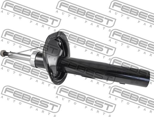 Febest 2507G-005FL - Амортисьор vvparts.bg