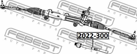 Febest 2022-300 - Аксиален шарнирен накрайник, напречна кормилна щанга vvparts.bg