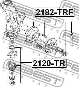 Febest 2120-TR - Шарнири vvparts.bg