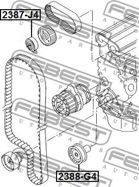 Febest 2388-G4 - Паразитна / водеща ролка, зъбен ремък vvparts.bg