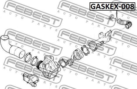 Febest GASKEX-008 - Уплътнителен пръстен, изпуск. тръба vvparts.bg