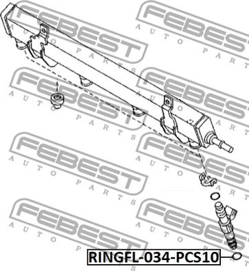 Febest RINGFL-034-PCS10 - Уплътнителен пръстен, впръсквателен клапан vvparts.bg