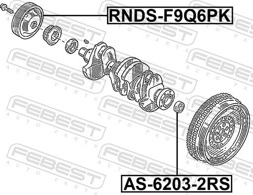 Febest RNDS-F9Q6PK - Ремъчна шайба, колянов вал vvparts.bg