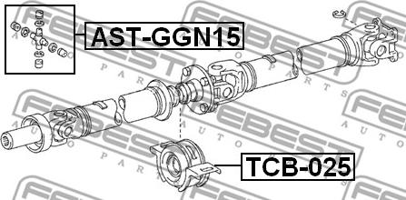 Febest TCB-025 - Опора карданен вал vvparts.bg