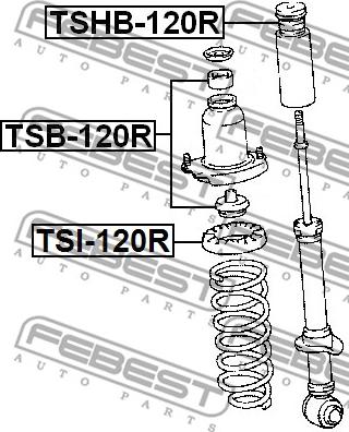 Febest TSI-120R - Пружинно легло - чиния vvparts.bg