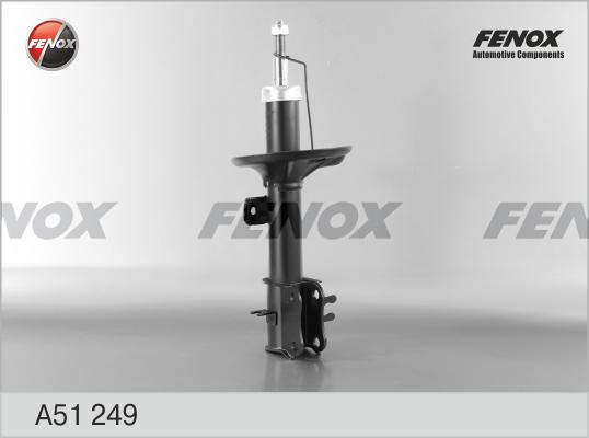 Fenox A51249 - Амортисьор vvparts.bg