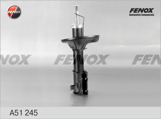 Fenox A51245 - Амортисьор vvparts.bg