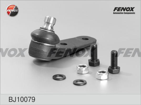 Fenox BJ10079 - Шарнири vvparts.bg