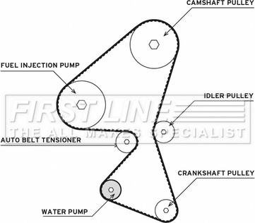 First Line FTW1032 - Водна помпа+ к-кт ангренажен ремък vvparts.bg