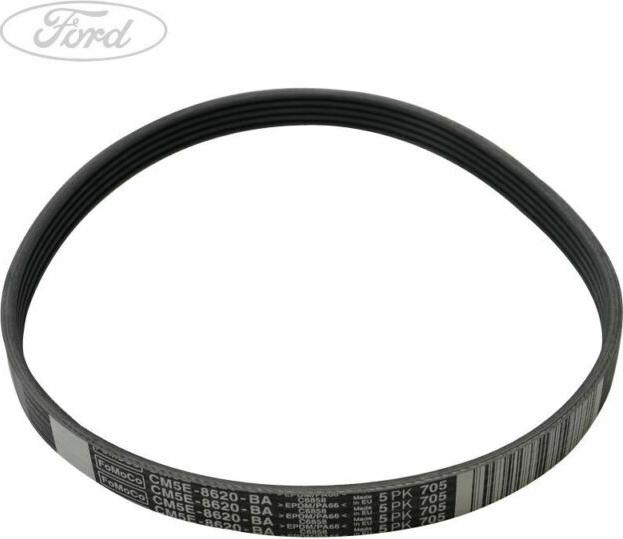 FORD 5113695 - Пистов ремък vvparts.bg