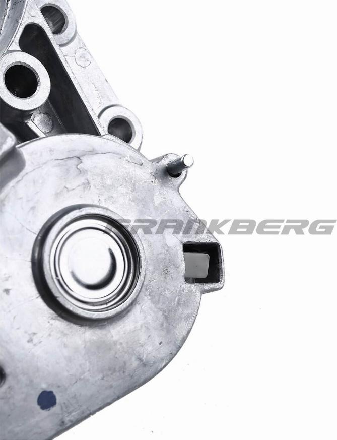 FRANKBERG 5481FB0005926 - Ремъчен обтегач, пистов ремък vvparts.bg