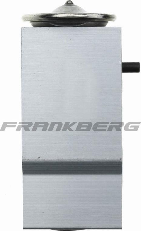 FRANKBERG 5481FB0001563 - Разширителен клапан, климатизация vvparts.bg