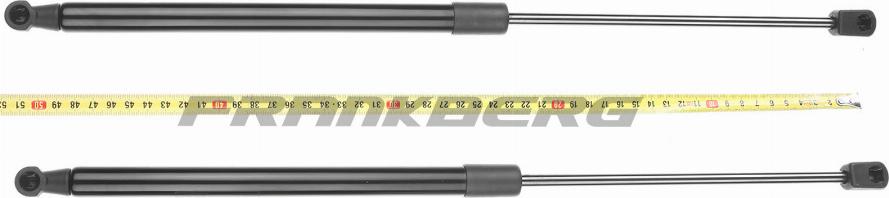 FRANKBERG 5481FB0013535 - Газов амортисьор, багажно / товарно пространство vvparts.bg