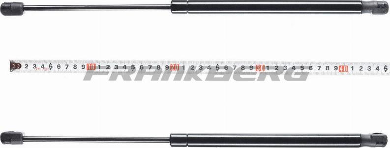 FRANKBERG 5481FB0013730 - Газов амортисьор, багажно / товарно пространство vvparts.bg