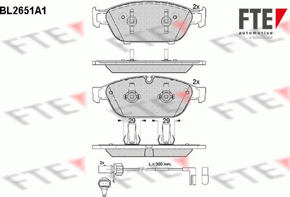 FTE 9010890 - Комплект спирачно феродо, дискови спирачки vvparts.bg