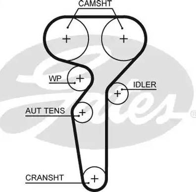 Gates 5655XS - Ангренажен ремък vvparts.bg