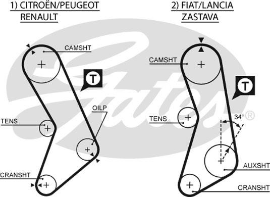 Gates 5003 - Ангренажен ремък vvparts.bg