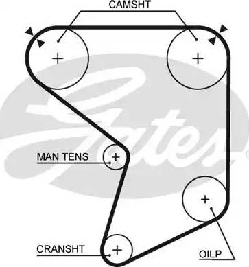 Gates 5166 - Ангренажен ремък vvparts.bg