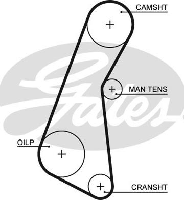 Gates 5121 - Ангренажен ремък vvparts.bg