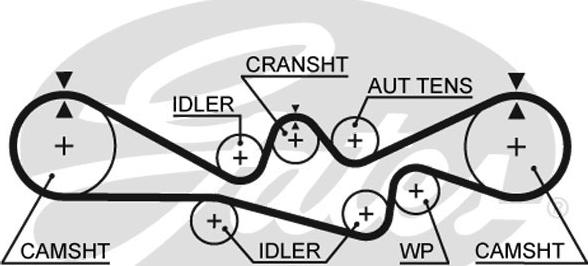 Gates T304RB - Ангренажен ремък vvparts.bg