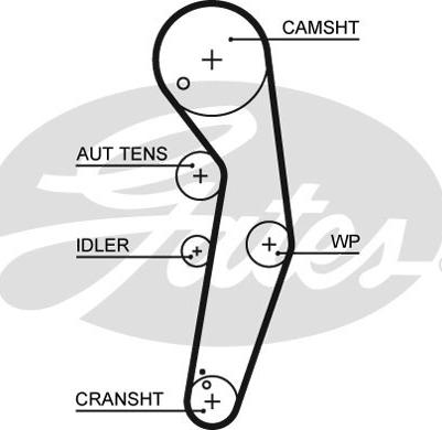 Gates K045569XS - Комплект ангренажен ремък vvparts.bg