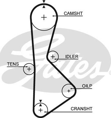 Gates T233 - Ангренажен ремък vvparts.bg