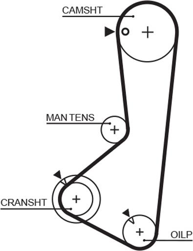 GATES-BR 5256XS - Ангренажен ремък vvparts.bg