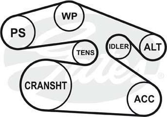GATES-SEA 6PK2478 - Пистов ремък vvparts.bg