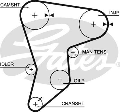 GATES-SEA T996 - Ангренажен ремък vvparts.bg