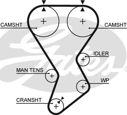 GATES-SEA T935 - Ангренажен ремък vvparts.bg