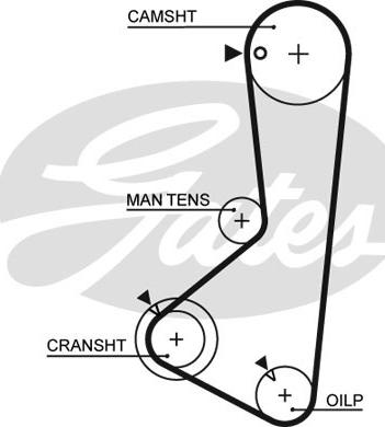 GATES-SEA T933 - Ангренажен ремък vvparts.bg