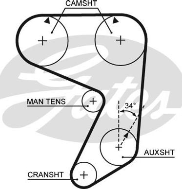 GATES-SEA T019 - Ангренажен ремък vvparts.bg