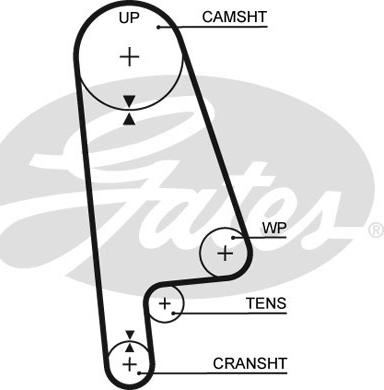 GATES-SEA T145 - Ангренажен ремък vvparts.bg