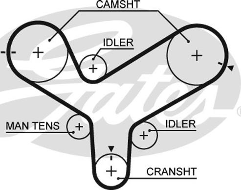 GATES-SEA T146 - Ангренажен ремък vvparts.bg
