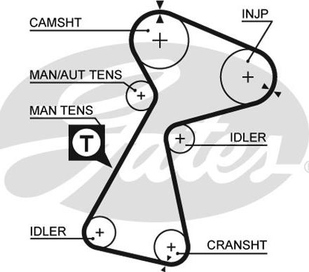 GATES-SEA T1562 - Ангренажен ремък vvparts.bg