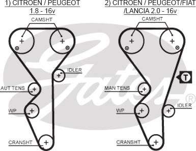 GATES-SEA T1504 - Ангренажен ремък vvparts.bg