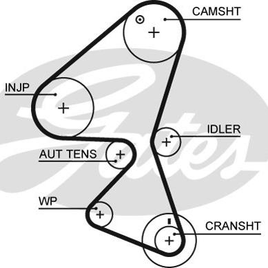 GATES-SEA T1608 - Ангренажен ремък vvparts.bg
