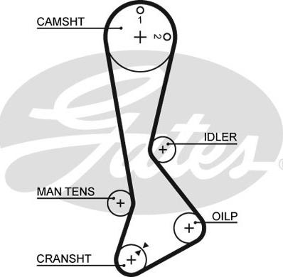 GATES-SEA T1102 - Ангренажен ремък vvparts.bg