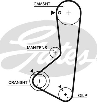 GATES-SEA T124 - Ангренажен ремък vvparts.bg