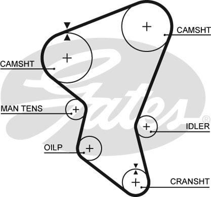 GATES-SEA T847 - Ангренажен ремък vvparts.bg