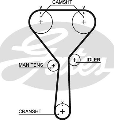 GATES-SEA T302 - Ангренажен ремък vvparts.bg