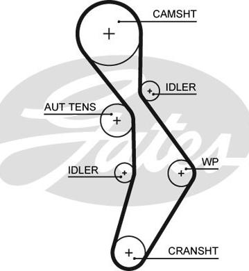 GATES-SEA T334 - Ангренажен ремък vvparts.bg