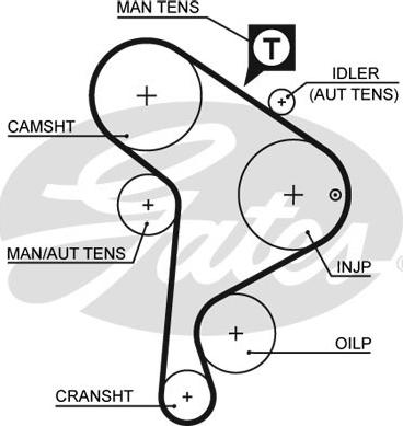 GATES-SEA T242 - Ангренажен ремък vvparts.bg