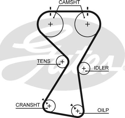 GATES-SEA T256 - Ангренажен ремък vvparts.bg