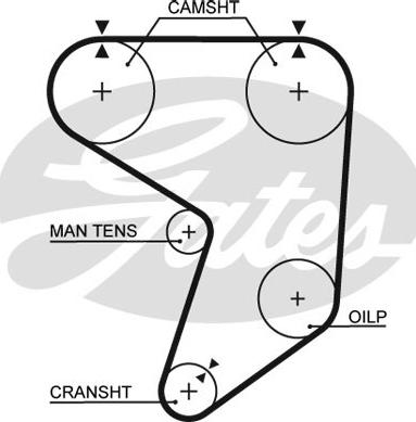 GATES-SEA T237 - Ангренажен ремък vvparts.bg